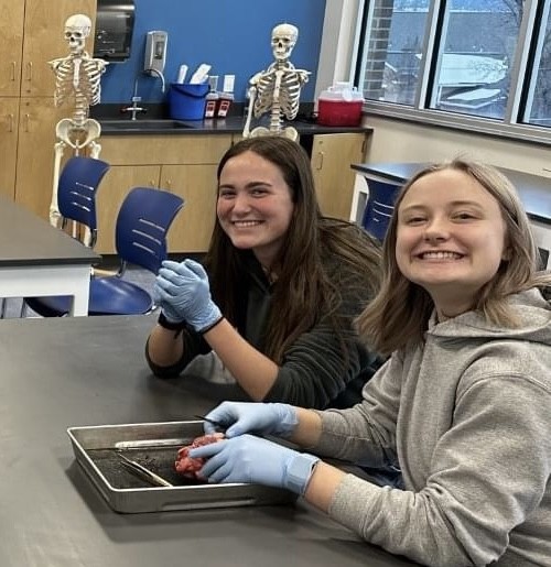 Students dissecting an eye.