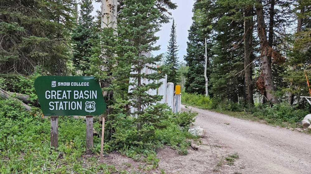 Informational signs at the entrance to GBS