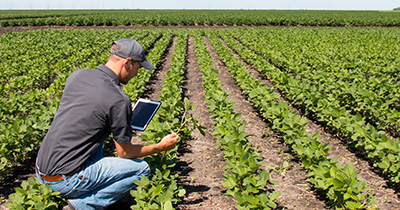 Agriculture